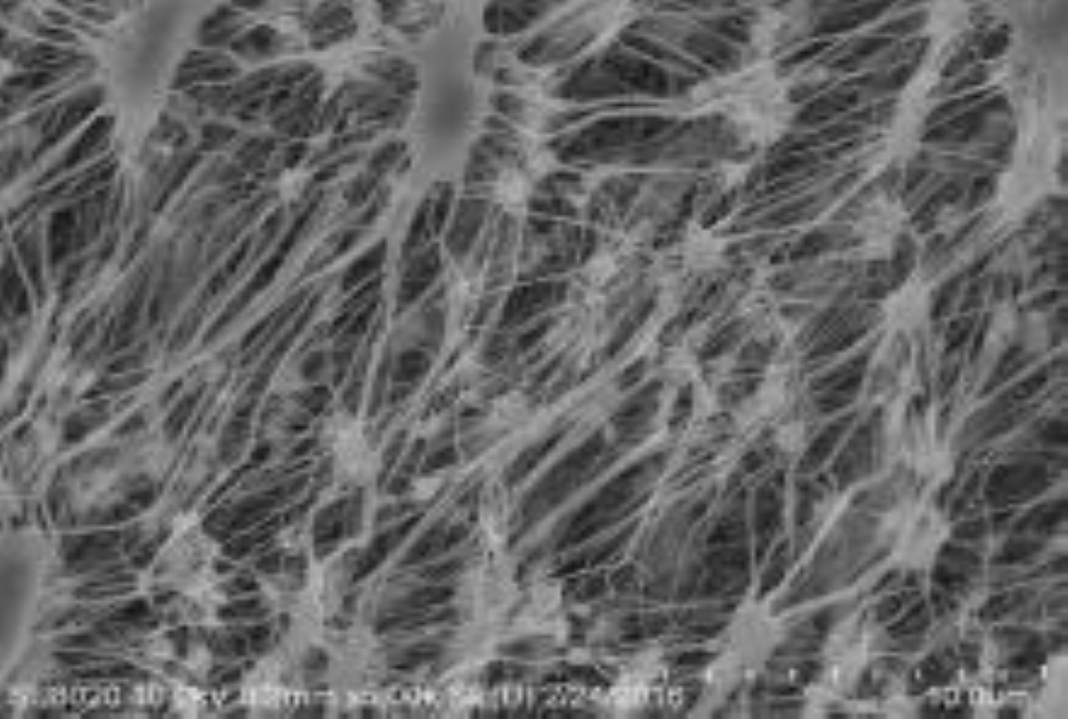 Applicazione della membrana Micro porosa in PTFE