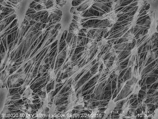 Cos'è la membrana Micro porosa in PTFE?