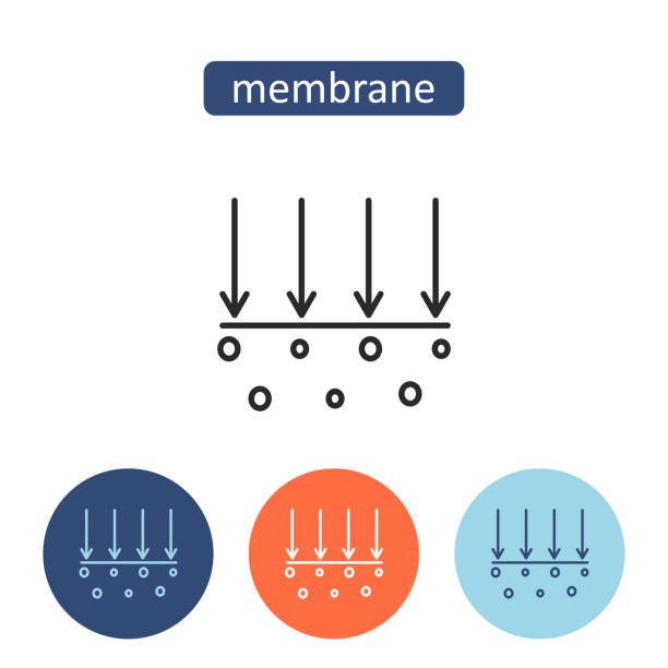 Applicazioni di membrane microporose nella filtrazione dell'acqua