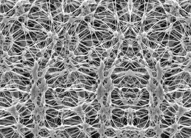 Membrana in PTFE