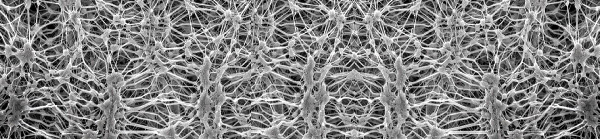 Membrana in PTFE